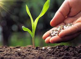 Battery storage facility